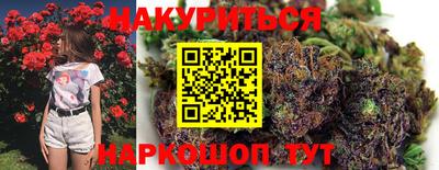 амф Донской