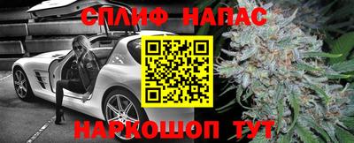 амф Донской