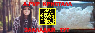 амф Донской