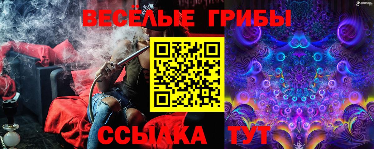 Галлюциногенные грибы Cubensis Балашов