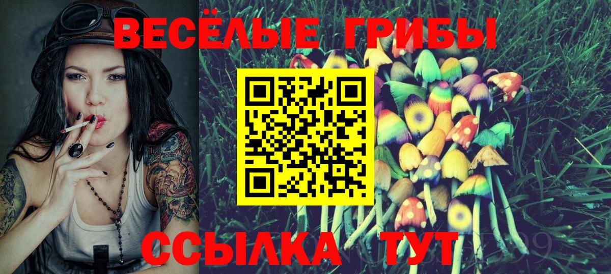 Галлюциногенные грибы Psilocybine cubensis  Галлюциногенные грибы GOLDEN TEACHER  Балашов  Вход с VPN 